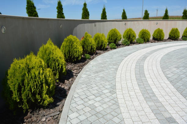 Professional Driveway Pavers in Chico, CA